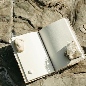 May include: An open notebook with blank white pages, resting on a textured gray rock surface. A small rock and a seashell are placed on the left page, and a rock with dried plant material is on the right. The notebook's spine is red.