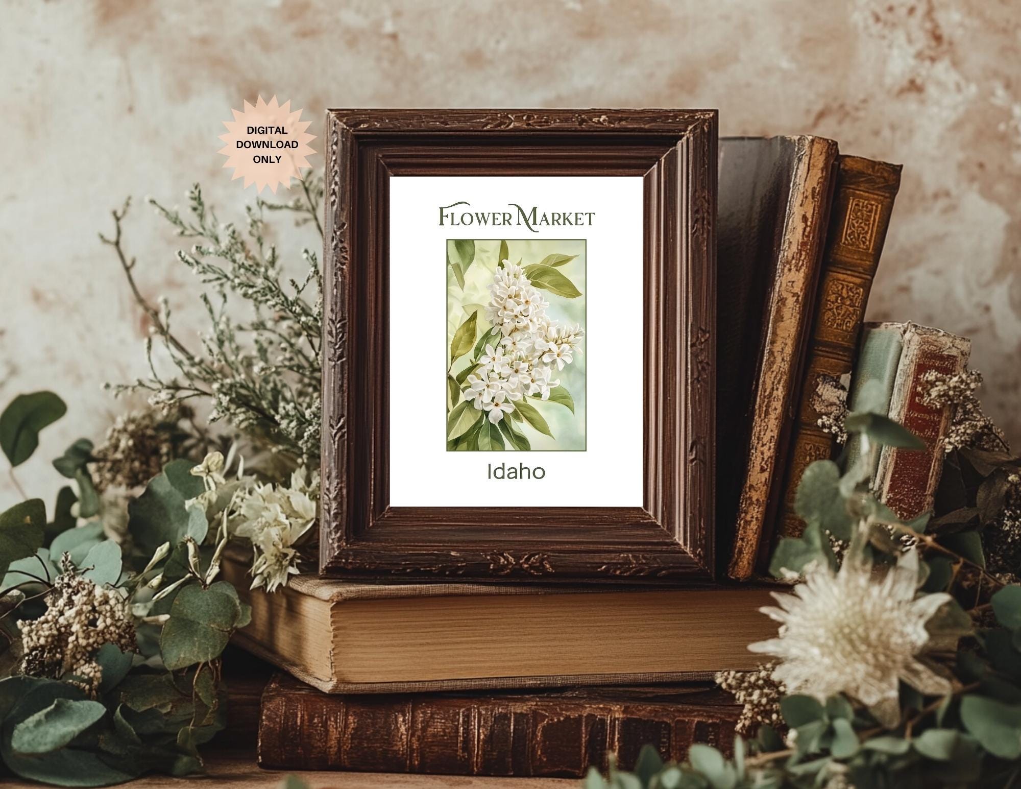 Syringa Vintage - Etsy