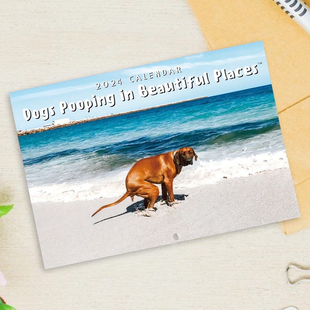wall-calendar-2024-dog-pooping-calendar-with-beautiful-etsy-australia