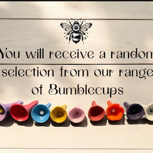 Set of 5 multicoloured Bumblecups, mini drinking cups for thirsty bees & pollinators. Mixed styles and colours in a lovely reusable gift bag