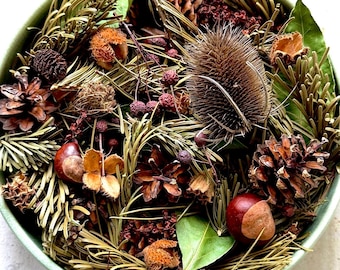 Op de afbeelding: Een ronde, lichtgroene kom gevuld met een verzameling natuurlijke boselementen, waaronder bruine dennenappels, gedroogde naalden, gladde bruine kastanjes, een stekelige kaardebol, kleine rode bessen en groene bladeren.