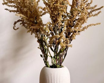 Getrocknete Goldrute | Solidago aus England | Natürliche Statement-Blumen für die Vase | Wildblumen