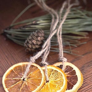 May include: Three dried orange slices arranged in a row, each featuring a natural circular shape with visible pulp segments and a light-coloured rind. Each slice is suspended by a thick, rustic brown jute twine loop tied through the top edge.