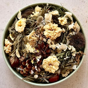 May include: A round, light green bowl filled with a collection of dried botanical elements, including cream-coloured dried flowers, dark brown pinecones, green pine needles, small brown chestnuts, and spiky, dark brown seed pods.