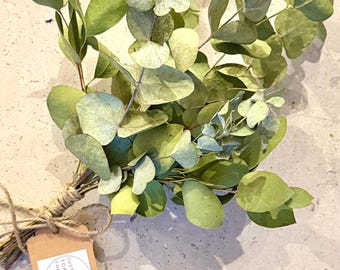 Getrockneter Eukalyptus Duschstrauß | Selbst angebaut in Somerset | Lavendel, Rosmarin | Natürliche Aromatherapie