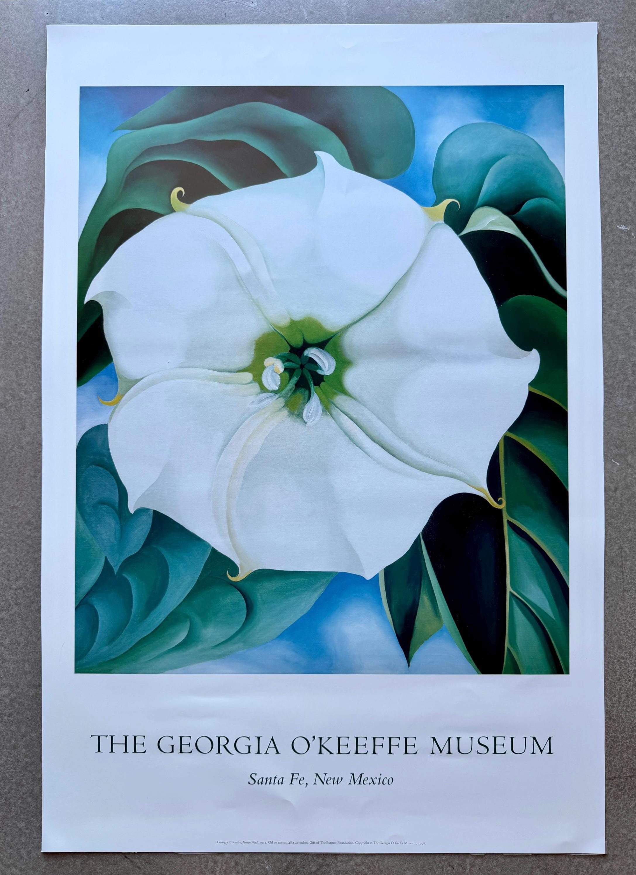 90s Georgia O'keeffe Museum Exhibition Print Poster Jimson Weed