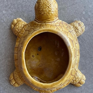 May include: A ceramic turtle-shaped planter in a warm, earthy tone. The planter features a detailed shell pattern and a large, open bowl for planting. The turtle's head and flippers are also textured, adding to its realistic appearance.