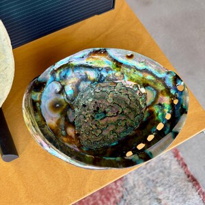 Vintage Jumbo Organic Modern Iridescent Natural Abalone Pearl Shell Catchall Bowl