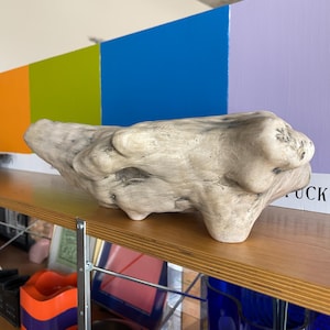 Puede incluir: Una escultura de madera flotante de color claro y forma irregular. La madera tiene una superficie lisa y texturizada y descansa sobre una estantería de madera. El fondo presenta paneles coloridos de naranja, verde, azul y morado.