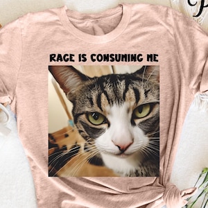 Rage Is Consuming Me Cat T-Shirt, Funny Cat Rage Tee, Sarcastic Cat Shirt, Cat Lovers Gift, Angry Cat Humor Shirt, Cat Meme T-Shirt