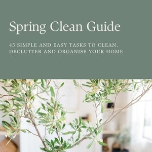 Op de afbeelding: Een witte vaas met een getextureerd oppervlak bevat een tak met groen gebladerte. De vaas staat op een wit oppervlak. De tekst "Spring Clean Guide" staat bovenaan de afbeelding. De tekst "45 SIMPLE AND EASY TASKS TO CLEAN, DECLUTTER AND ORGANISE YOUR HOME" staat onder de titel. De tekst "Monique Popa @theorganisedeverydaymum" staat onderaan de afbeelding.