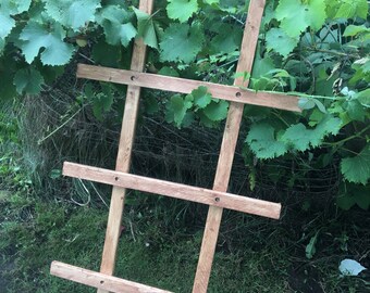 Plante grimpante en treillis de jardin et support de vigne en bois résistant aux intempéries