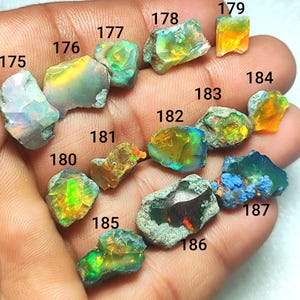 Könnte beinhalten: Eine Hand hält eine Sammlung von rohen Opal-Edelsteinen. Die Opale zeigen eine Vielzahl von Farben, darunter Blau, Grün, Gelb und Orange. Jeder Stein hat eine einzigartige Form und Textur mit sichtbaren inneren Mustern und Farbblitzen.