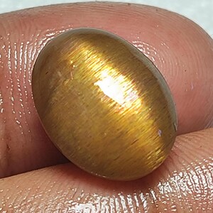 Pode incluir: Uma pedra preciosa oval polida com uma tonalidade castanho-dourada. A pedra tem uma superfície brilhante com estrias internas visíveis. A gema é segurada entre os dedos, mostrando sua forma e cor. Mede aproximadamente 2 cm de comprimento.