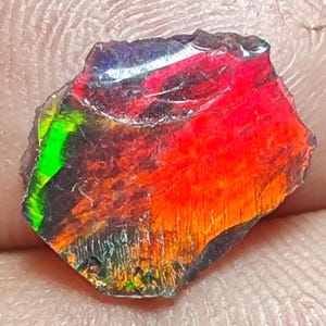 Könnte beinhalten: Ein roher, dunkelgrauer, schwarzer und grüner Opal mit roten, orangen und gelben irisierenden Blitzen.
