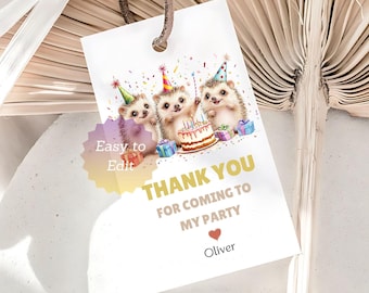 Words 'n' Wishes Fantastico biglietto di compleanno per nipote per ragazzi, con motivo riccio, rilassante, goffrato, con dettagli laminati, ecologico