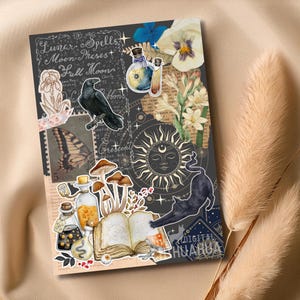 May include: A collage of vintage-style illustrations featuring a black crow, a butterfly, a sun with a face, a black cat, mushrooms, and bottles. The collage has a dark background with white and gold accents. The text "Lunar Spells, Moon Phases, Full Moons" is visible at the top of the collage.