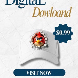 Diseño de sombrero 3D de Angry Bird PNG – Descarga digital – Clipart de pared rota de dibujos animados – Arte de sublimación para gorras
