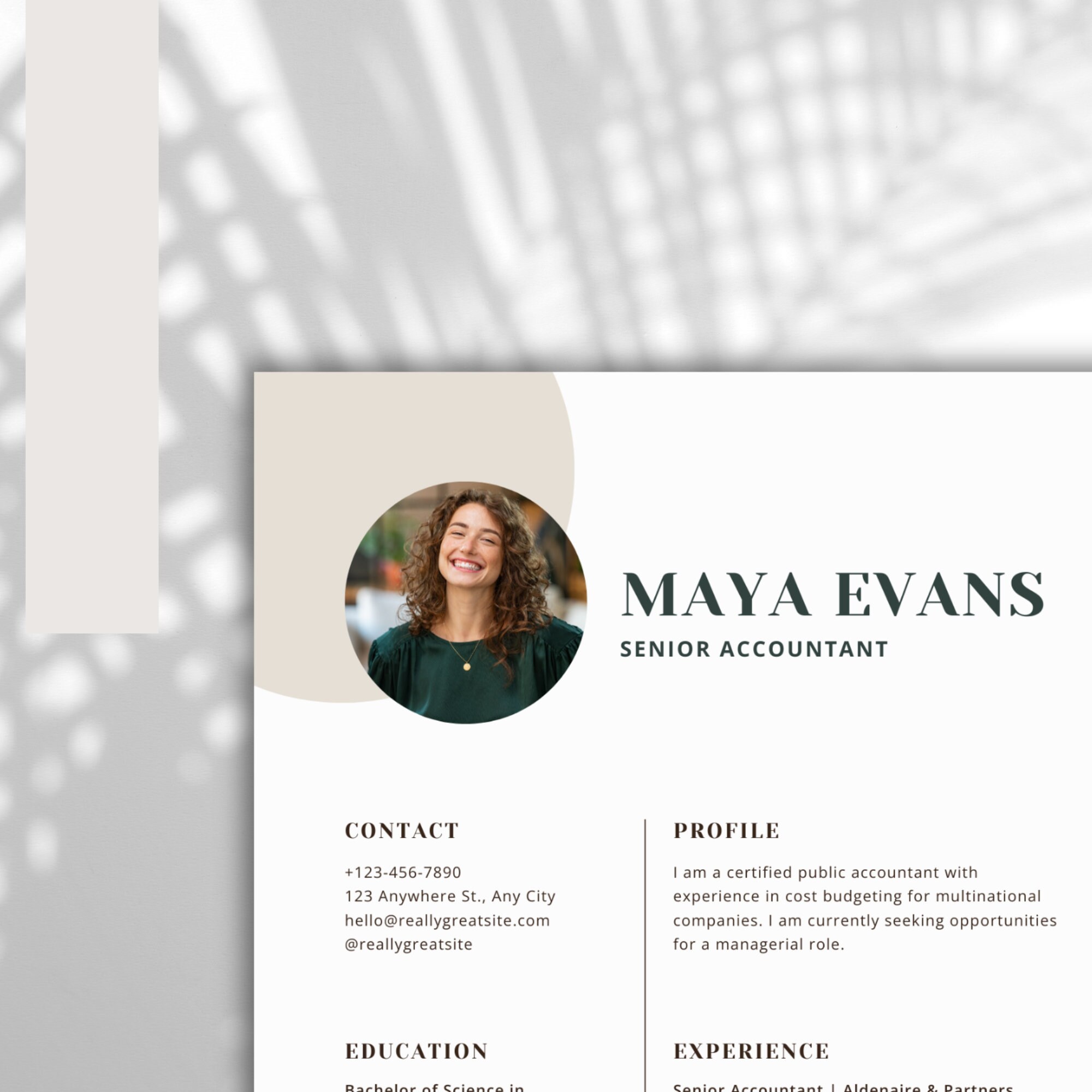 Resume Template Modern CV Template CANVA Template - Etsy