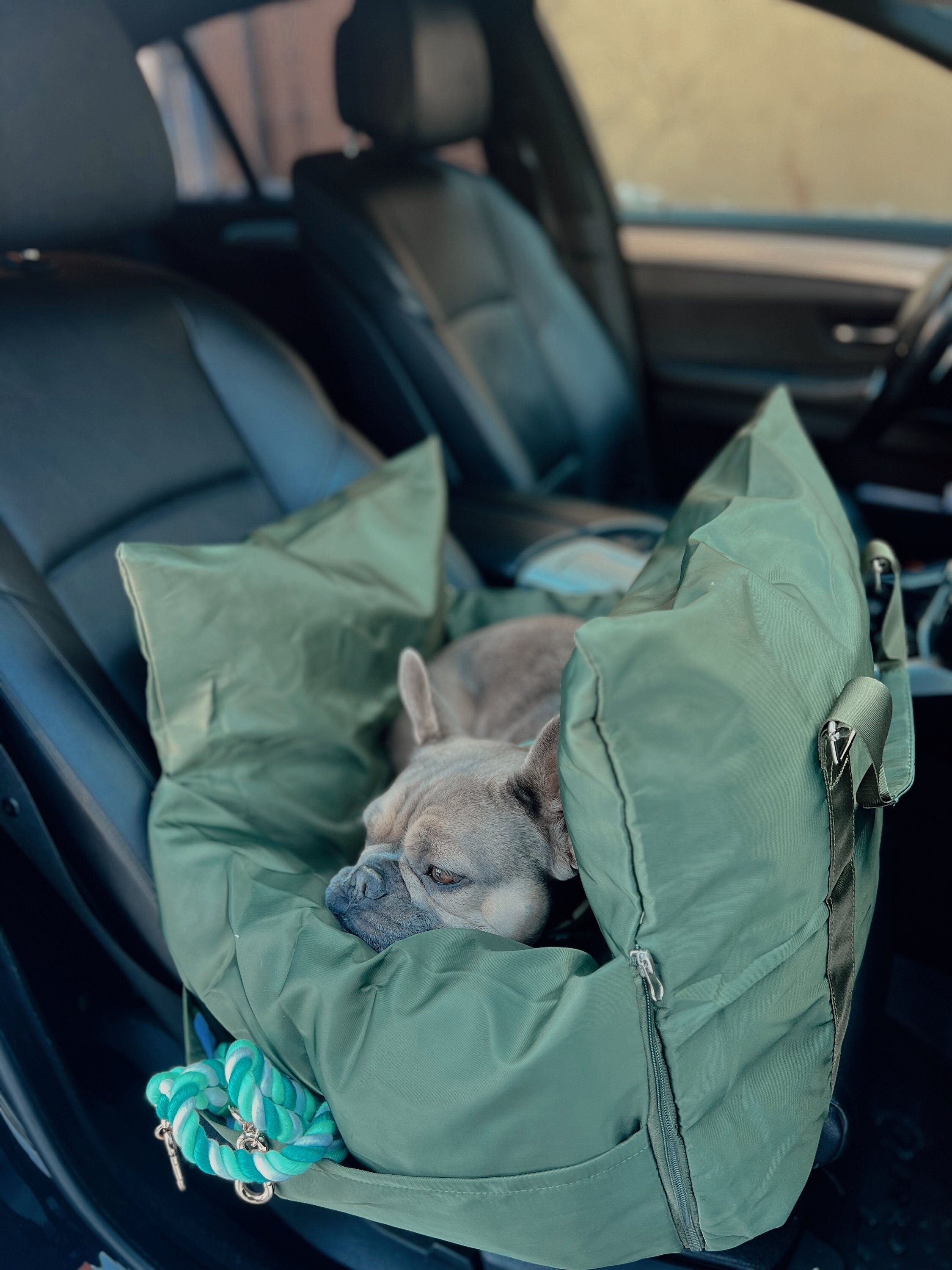 Dog car seat bulldog - .de