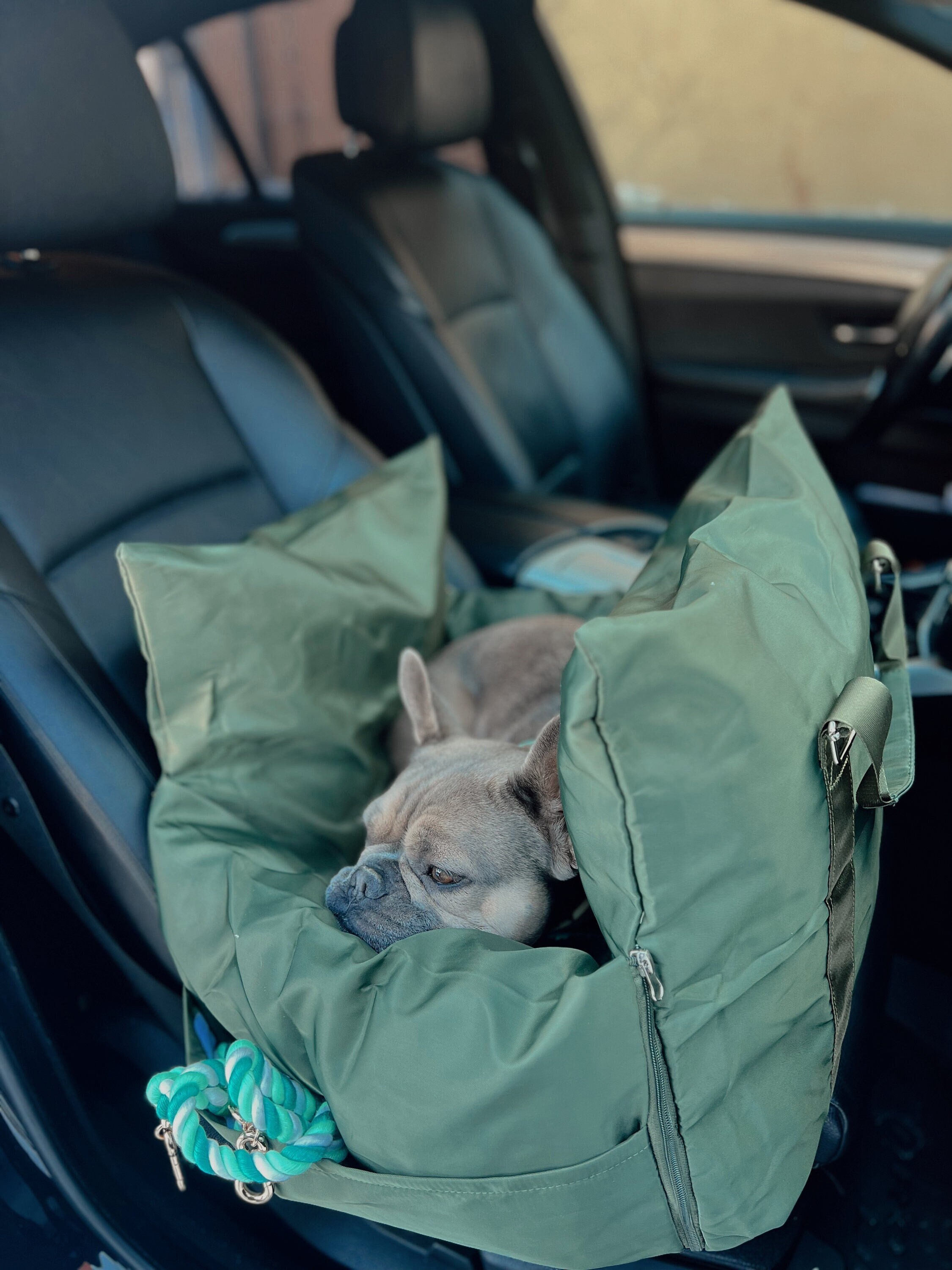 English bulldog top car seat