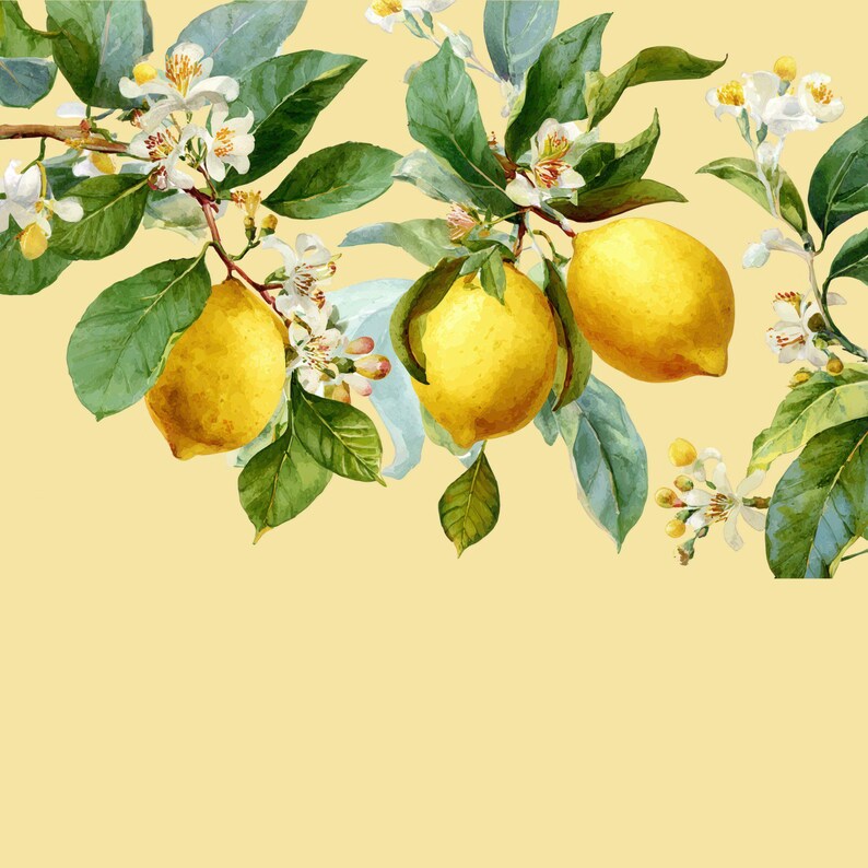Lemons Clipart Bundle, 20 Transparent Pngs, Watercolour Citrus ...