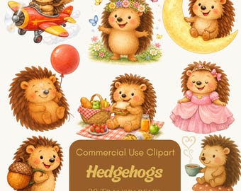 Watercolour Hedgehog Clipart Bundle, Woodland Animals Nursery Clipart, Transparent PNG, Commercial Use