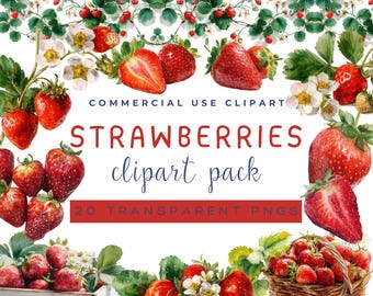 Strawberry Clipart Bundle, Strawberry Red Coquette Clipart, Strawberries Clipart PNG, Invitation Graphics, Botanical Clipart Watercolour