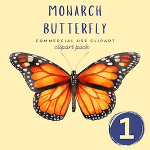 Watercolor Monarch Butterfly PNG: Digital Download Clipart