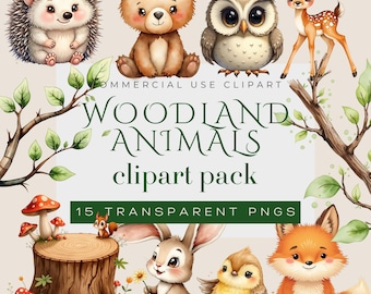 Woodland Animals Clipart Bundle PNG, Forest Animal Clip Art, Cute Baby Animals, Transparent Background, Instant Download, 15 PNGs