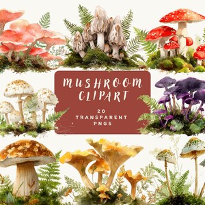 May include: A collection of watercolour mushroom illustrations in shades of red, white, brown, and purple. The image includes the text "Mushroom Clipart" and "20 Transparent PNGs". The mushrooms are surrounded by green foliage.