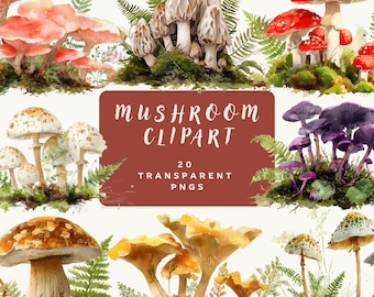Watercolor Mushroom Clipart Bundle, Woodland Fungi 20 PNG Set, Forest Botanical Clip Art, Nature Illustrations, Transparent PNGs