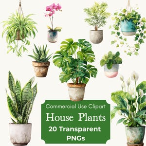 以下が含まれることがあります： さまざまな鉢植えの観葉植物の水彩イラスト。吊り下げられたクモの植物、蘭、モンステラなど。緑色の看板には「Commercial Use Clipart House Plants 20 Transparent PNGs」と書かれています。