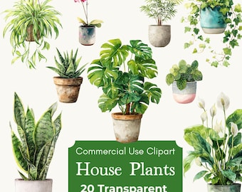 Watercolor House Plants Clipart, Indoor Plant PNG Bundle, Botanical Greenery Illustrations, Commercial Use PNGs