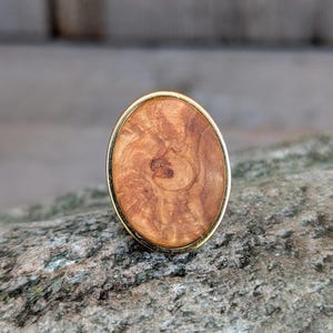 Könnte beinhalten: Ovaler Ring mit goldfarbenem Band und Holzmaserungsmitte. Die Holzmaserung hat eine warme, hellbraune Farbe mit dunkleren braunen Wirbeln. Der Ring ist vor einem verschwommenen Hintergrund platziert.