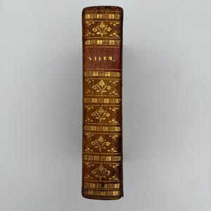 May include: A brown leather book spine featuring gold-stamped floral patterns and horizontal lines. The word STURM is printed in gold capital letters on a dark red rectangular label centred on the spine, which is decorated with intricate botanical motifs.