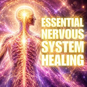 Könnte beinhalten: Eine menschliche Silhouette, umrandet von leuchtendem Violett und Orange, mit einem detaillierten Nervennetzwerk, das von Gehirn und Wirbelsäule ausgeht. Der Text ESSENTIAL NERVOUS SYSTEM HEALING steht in fetten gelben Großbuchstaben rechts.