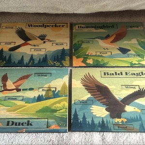 Bird Parts Puzzle