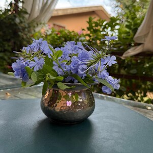 Pode incluir: Um pequeno vaso prateado martelado contém um buquê de flores azul claro com folhas verdes. O vaso está sobre uma mesa verde escuro, com um fundo desfocado de vegetação, cortinas e um edifício sob um céu azul.