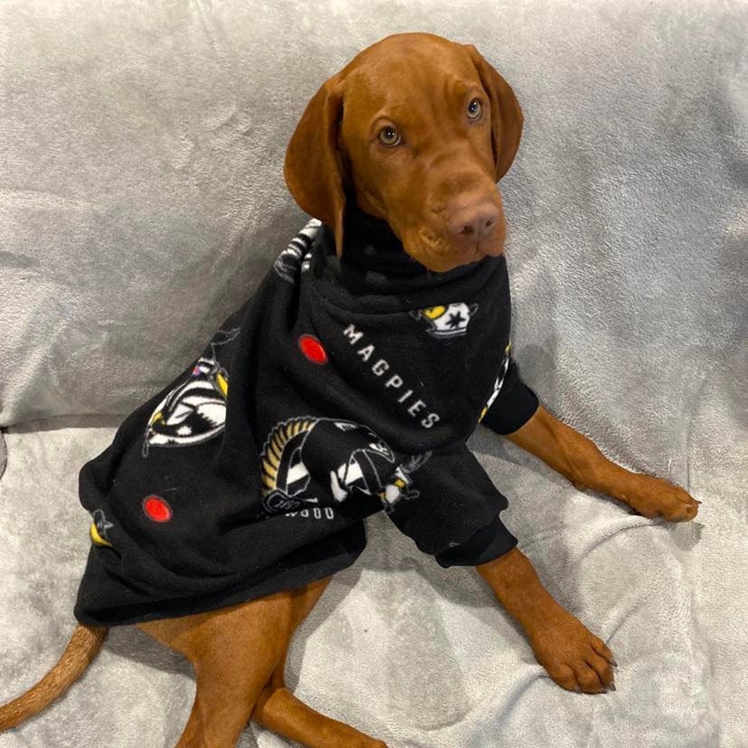 Personalised Collingwood Dog Jumper - Etsy