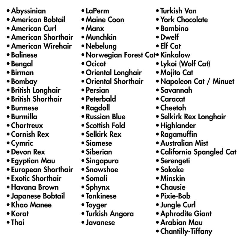 Cat Breed PNG Bundle: 75 Breeds, 340 Design…