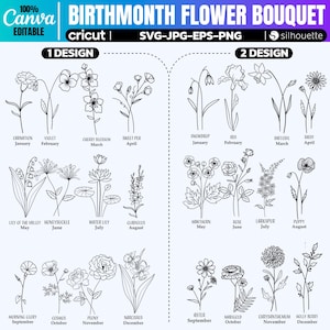 Geboortemaand bloem Svg bundel, bloem Svg, geboortemaand bloem Png bundel, geboortebloem boeket Svg, bloemen Svg, botanische sublimatie ontwerp
