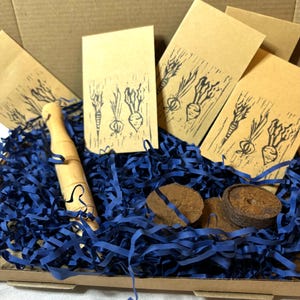 Set di avviamento per l'orto - Scatola regalo di semi