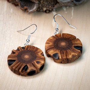 Banksia wooden earrings handmade with fascinating grain image 1