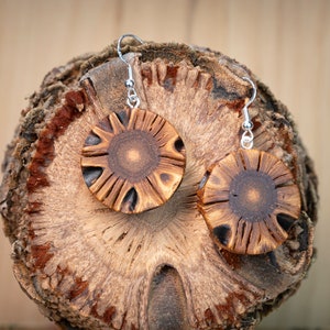 Banksia wooden earrings handmade with fascinating grain image 5