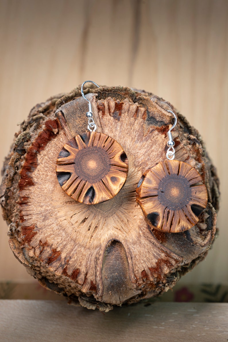 Banksia wooden earrings handmade with fascinating grain image 5