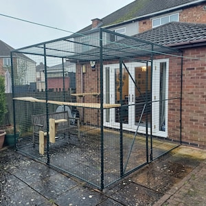 Catio