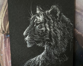 Striped - White on Black Paper - Original Charcoal Illustration - The Rock Artist - Tiger Illustration