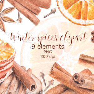 Cozy Winter Spices Clipart Set Watercolor Cinnamon Stick Clipart Dried Orange Slices Clipart PNG Winter Clipart Watercolor Christmas Clipart