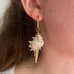 Echte Muschel Ohrringe, Gold Muschel Ohrringe, Edelstahl, Strand Schmuck Set, Küsten Geschenk für Sie